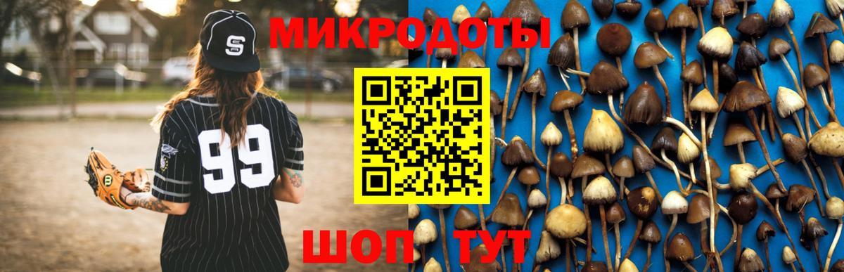 наркота  Галлюциногенные грибы мицелий  Псков  Вход с VPN  Галлюциногенные грибы Psilocybine cubensis 